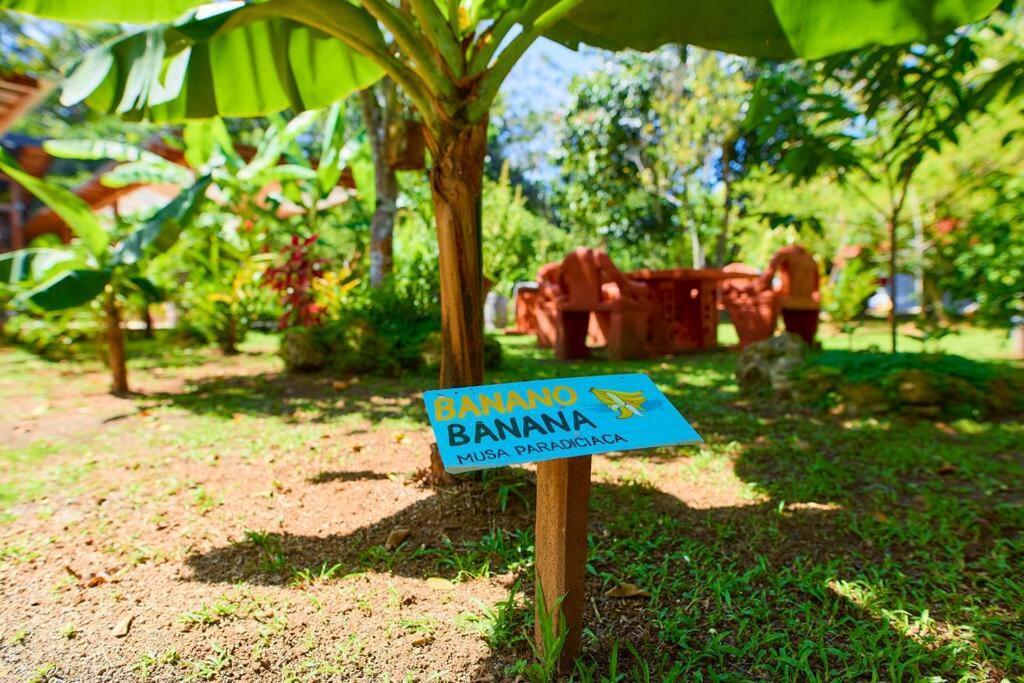 Casa Kristel - Exquisite Villa Getaway Puerto Viejo de Talamanca 外观 照片