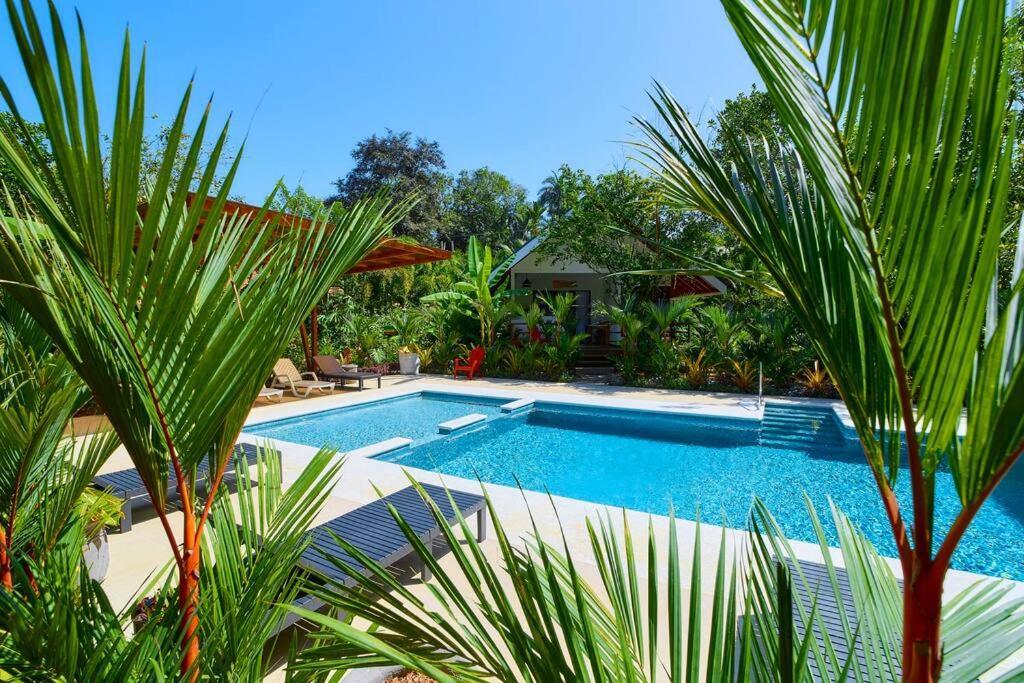 Casa Kristel - Exquisite Villa Getaway Puerto Viejo de Talamanca 外观 照片